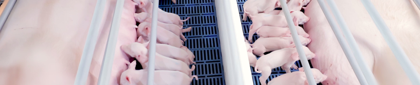 山东3118云顶集团科技股份有限公司官方网站