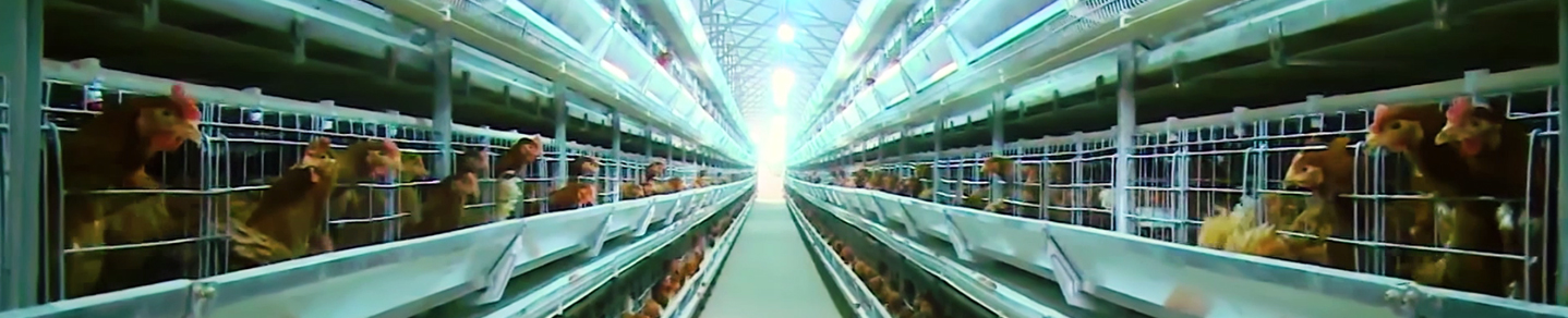 山东3118云顶集团科技股份有限公司官方网站